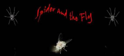 logo Spider And The Fly
